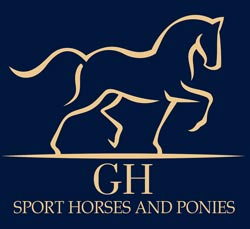 GH Sports Horses Sports Horses for Sale Newcastle NE15