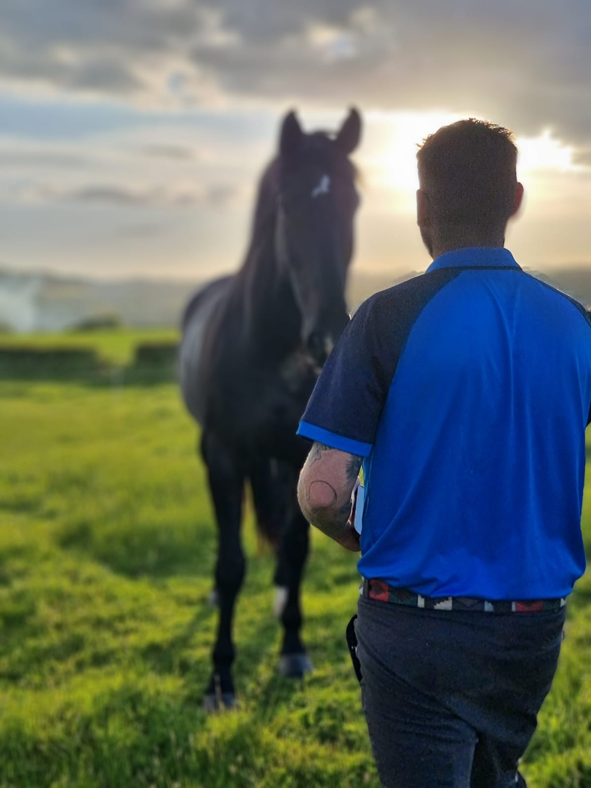 new sport horse owner with new horse